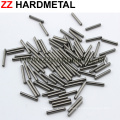 Zz Hardmetal de alta calidad carburo de tungsteno Rods